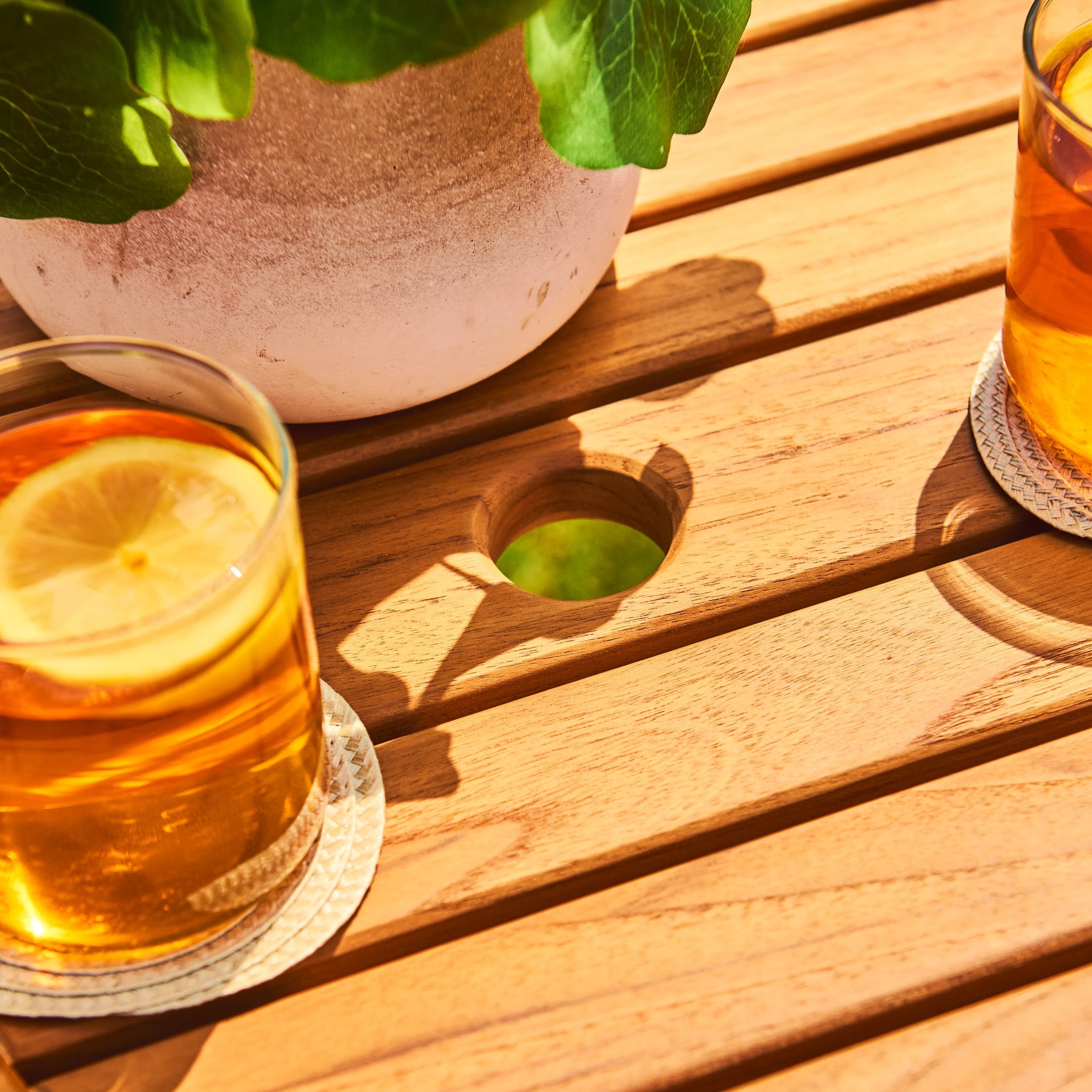 Two glasses of iced tea with lemon slices on a wooden table, accompanied by a potted plant.