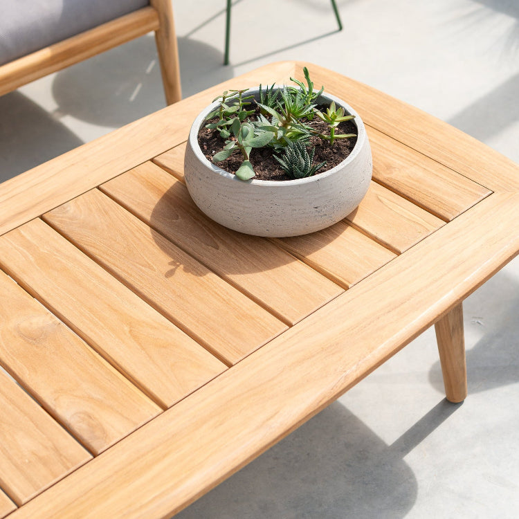 Wooden table with a potted plant on a light surface