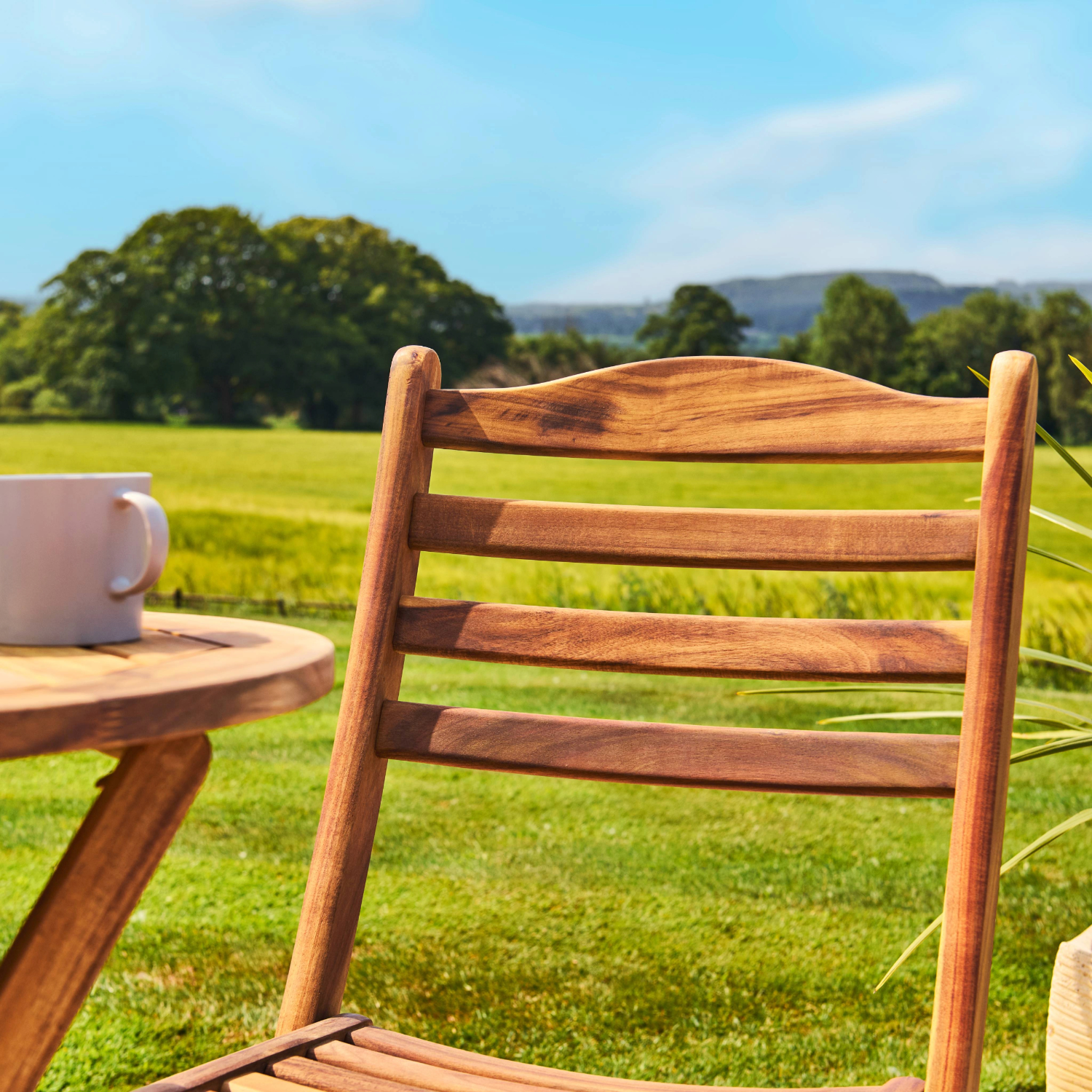 Wooden chair and table with a cup on a grassy field with trees and mountains in the background