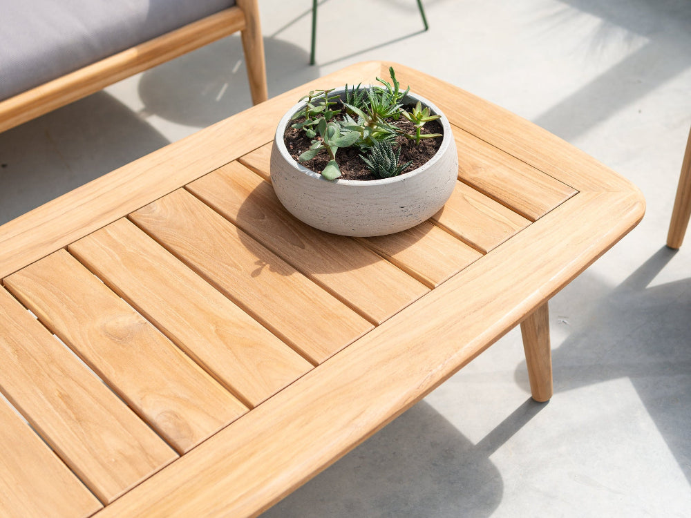 Wooden table with a potted plant on a light surface