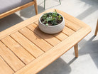 Wooden table with a potted plant on a light surface