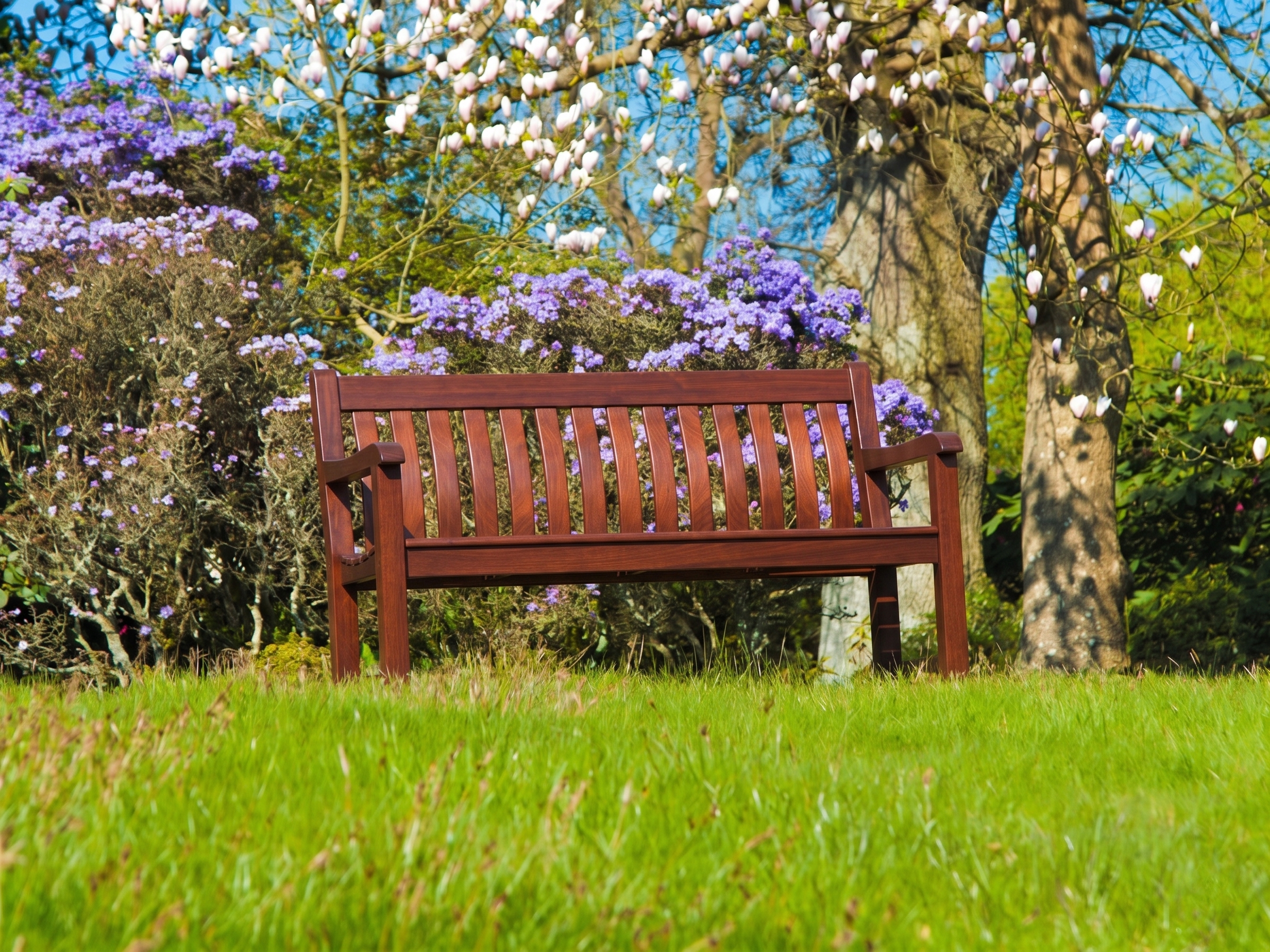 A mahogany wooden bench situated in a grassy park area with blooming trees and purple flowers in the background.