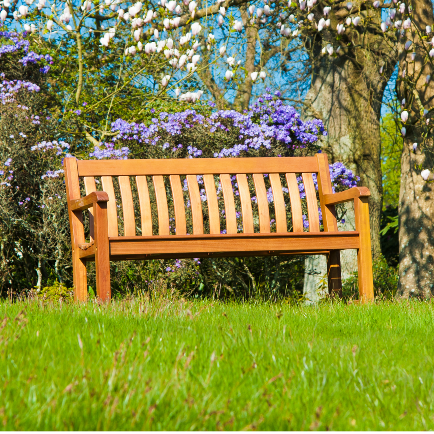 Wooden bench in a garden with trees and flowers