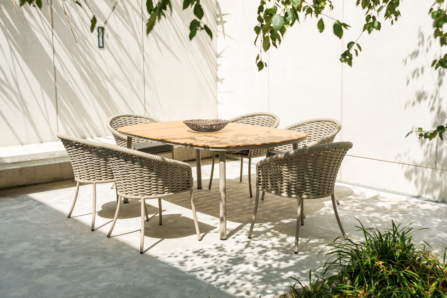 cordial collection image