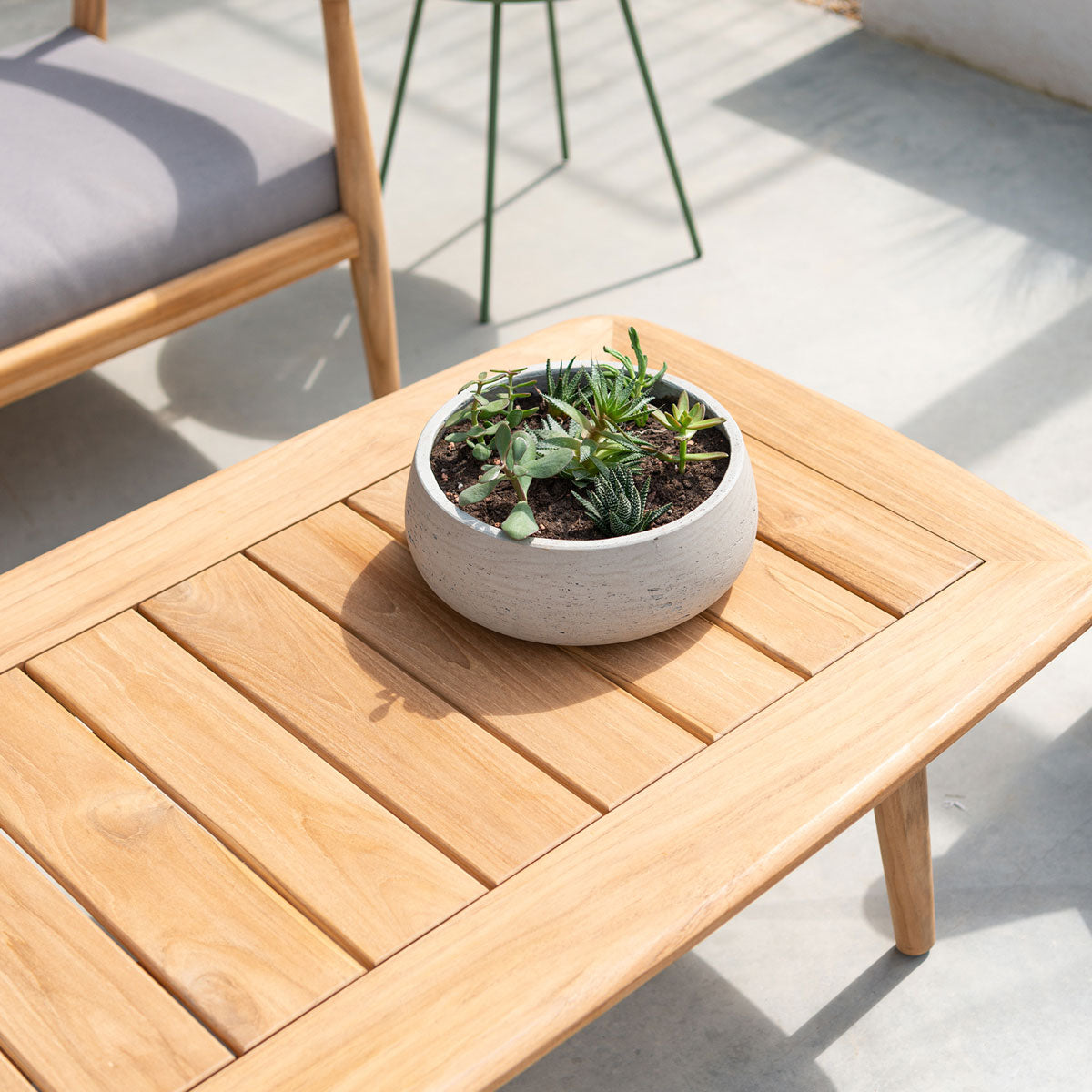 Dana Coffee Table with plant