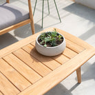 Dana Coffee Table with plant