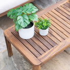 Alexander Rose Bolney Outdoor Wooden Coffee Table